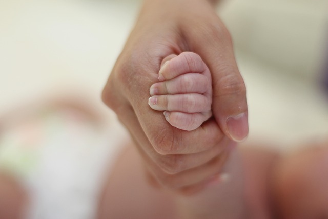 Baby-Led Weaning vs Purees: The Evidence