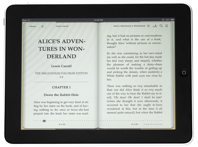 Page Turner gallery 4