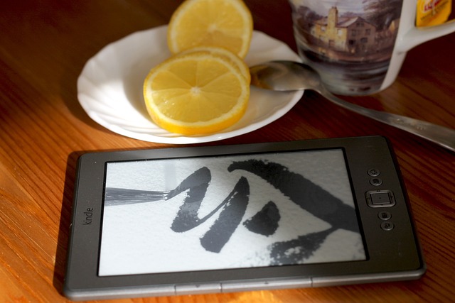 The Best Reading Apps for iPad in 2025