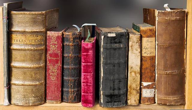Libby App: The Complete Guide to Free Library eBooks
