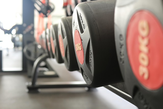 Gear & Gains gallery 2