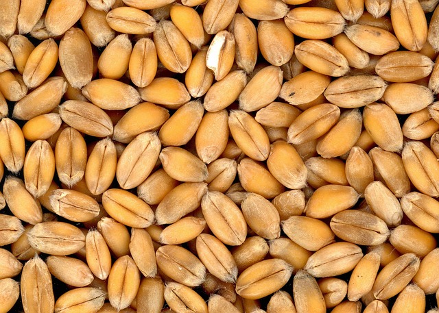 Mediterranean Diet: Complete Guide