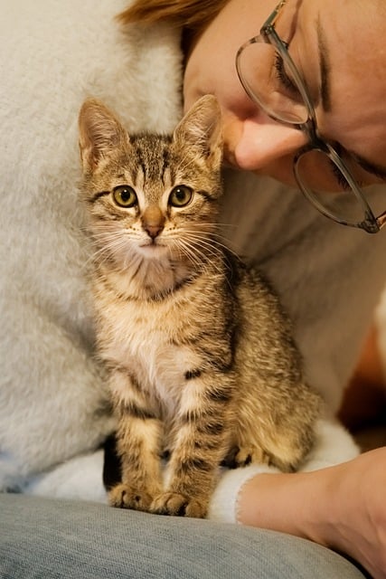 Happy Pet Hub gallery 3