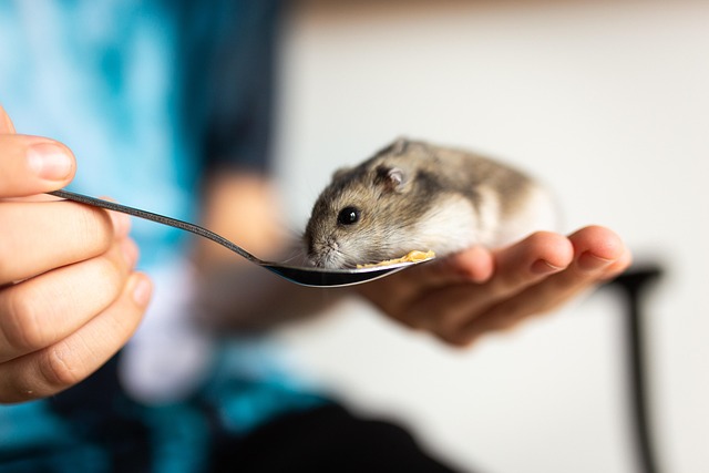 Best Pet Foods of 2025 (All Species)