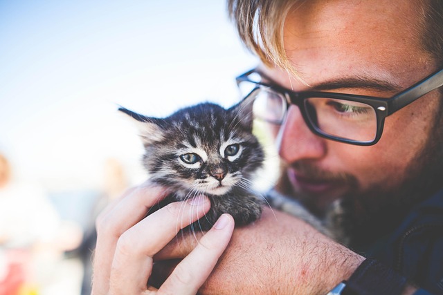 Pet Food Ingredient Labels: What They Mean and What to Avoid