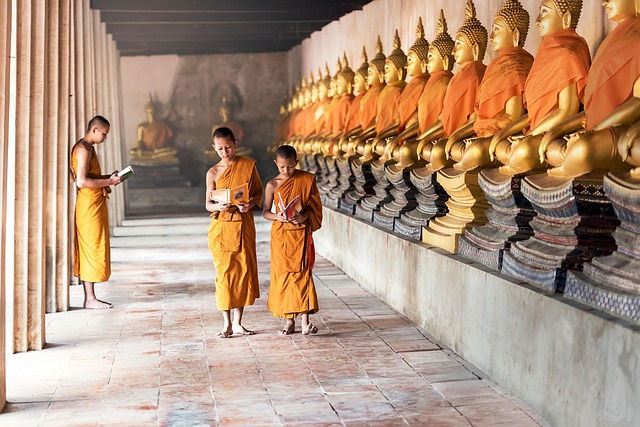 The Science of Meditation: What Research Shows