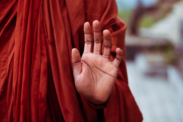 Mindfulness in the Age of Distraction: A Practical Survival Guide
