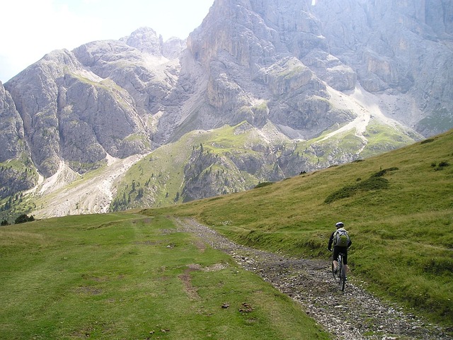 Trail & Field gallery 5