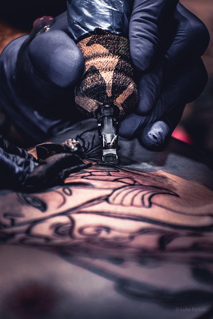 Ink Authority gallery 5