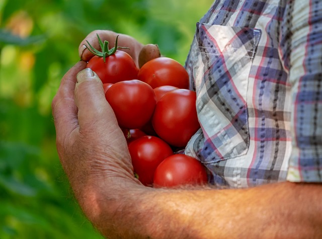 Complete Vegan Nutrition Guide