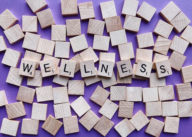 Top Adaptogens for Stress and Energy