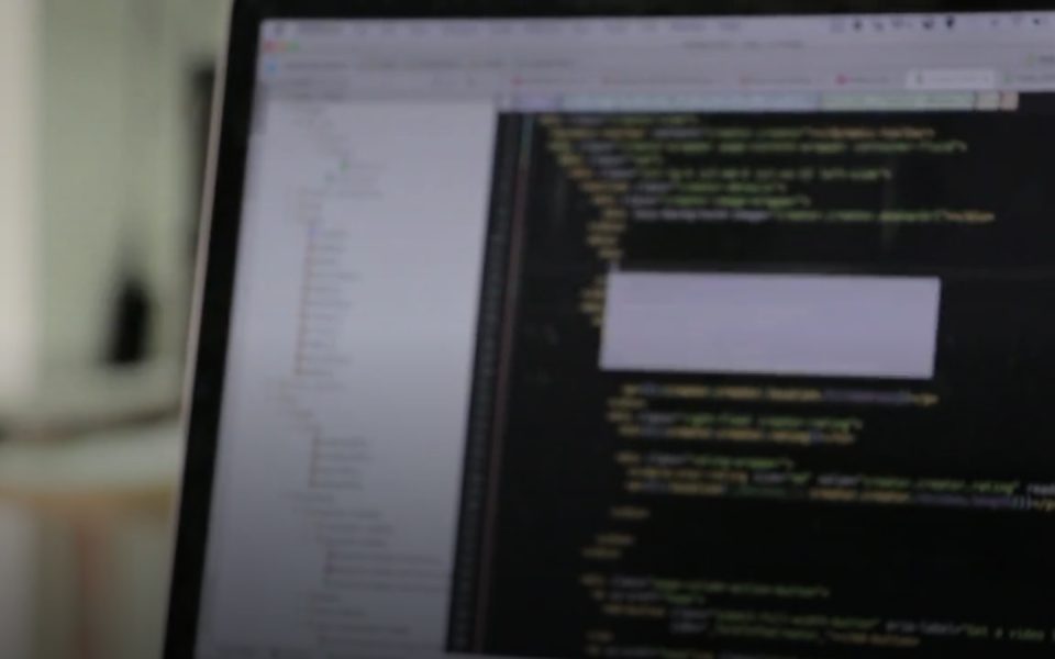 Software & SaaS website preview