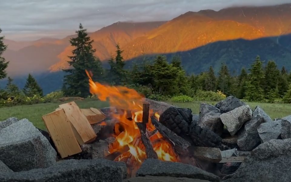 Survivalism & Prepping website preview