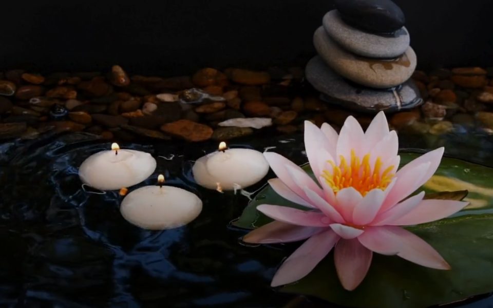 Well Being & Healing website preview