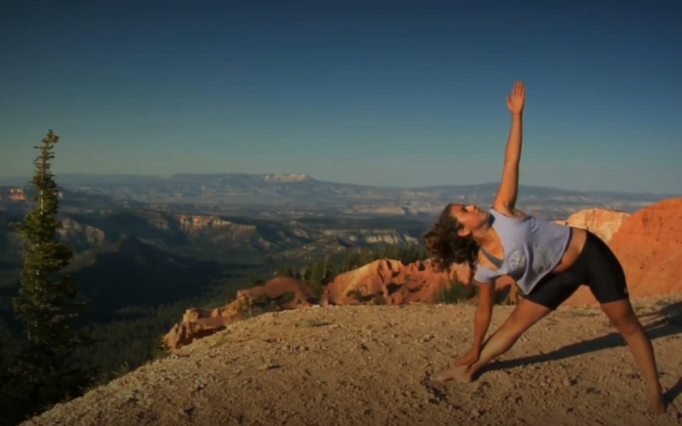 Yoga & Wellness website preview